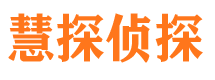 惠农市侦探调查公司